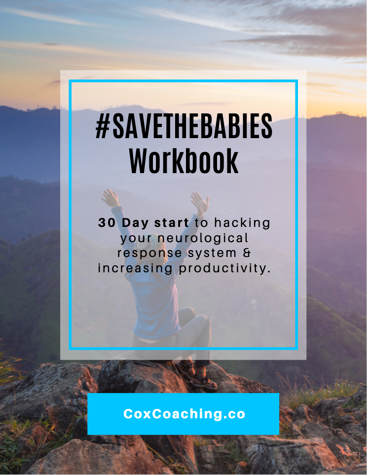 #savethebabies productivity hack workbook